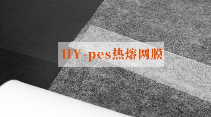 pes熱熔網(wǎng)膜.jpg pes熱熔網(wǎng)膜.jpg